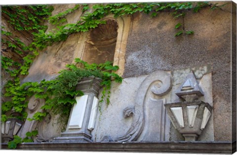 Framed Spain, Granada Ivy growing on the walls of the Alhambra Print