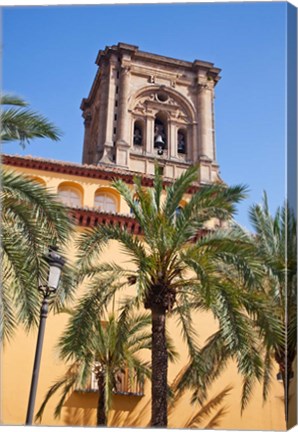 Framed Spain, Granada The bell tower of the Granada Cathedral Print