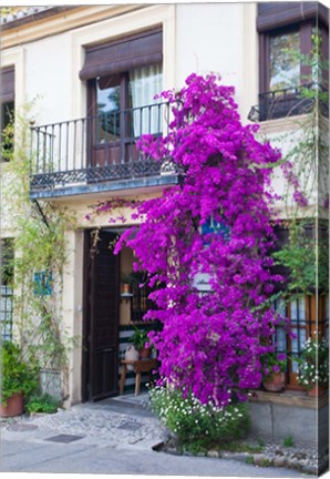 Framed Spain, Granada The entrance of Hotel America Print