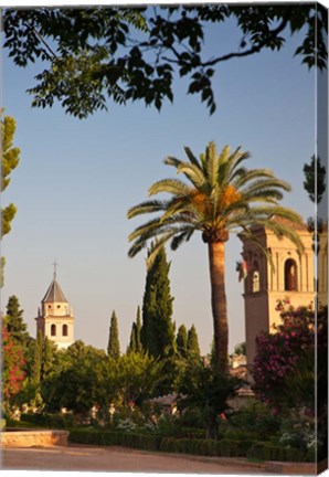 Framed Spain, Granada, Alhambra The Generalife gardens Print