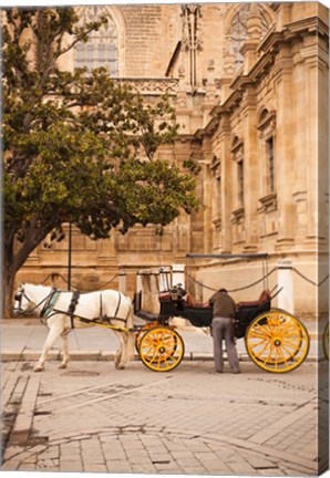 Framed Spain, Seville, Horse carriage, Plaza del Triunfo Print