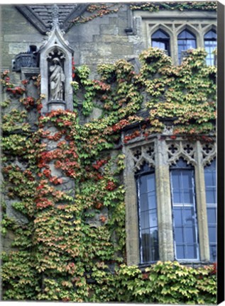 Framed Halls of Ivy, Oxford University, England Print