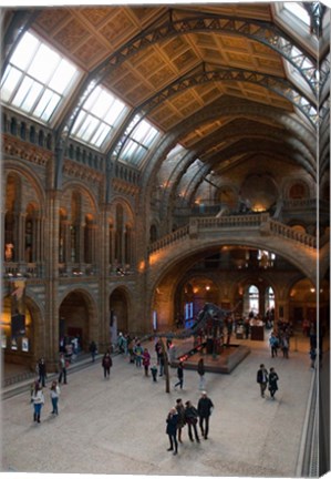 Framed England, London, Natural History Museum Great Hall Print