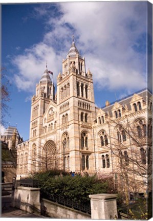 Framed Natural History Museum, London, United Kingdom Print