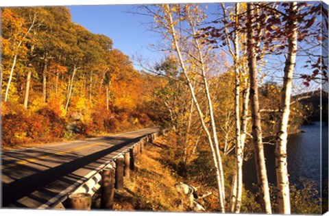 Framed Tranquil Road with Fall Colors in New England Print