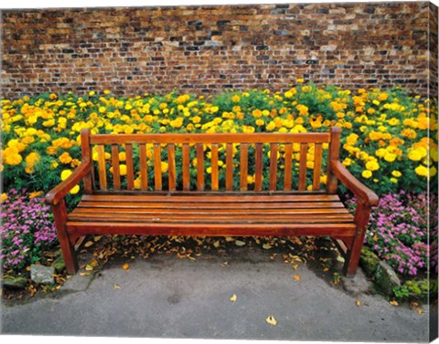 Framed England, Northumberland, Hexham, Park bench Print