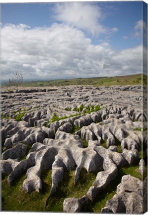 Framed Limestone Pavement, Malham Cove, Yorkshire Dales National Park, North Yorkshire, England Print