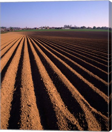 Framed Ploughed Field, Surrey, England Print