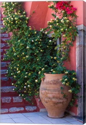 Framed Large Pot With Honeysuckle Vine, Santorini, Greece Print