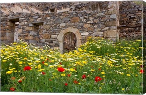 Framed Old building and wildflowers, Island of Spinalonga, Crete, Greece Print