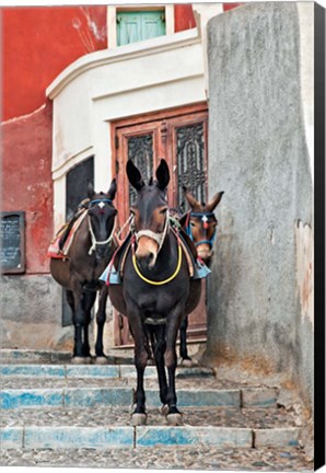 Framed Mules, Imerovigli, Santorini, Greece Print