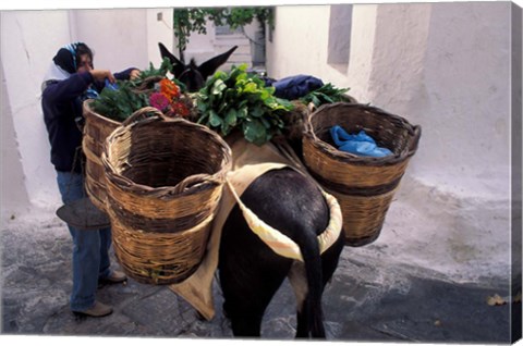 Framed Pack Mule at Market, Santorini, Greece Print