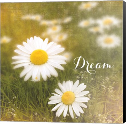 Framed Daisy Dreams Print