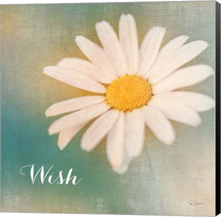 Framed Daisy Wishes Print