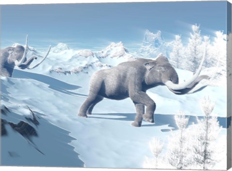 Framed Mammoths Walking Slowly on the Snowy Mountain Against the Wind Print