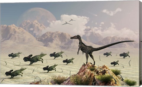 Framed Protoceratops stampede in fear as a Velociraptor Watches Print