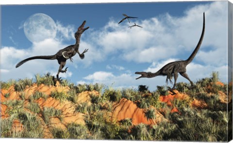 Framed Velociraptors involved in a Territorial Dispute Print