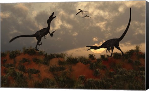 Framed Pair of Velociraptors Print