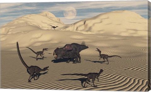 Framed Velociraptors Encircling a  Protoceratops Print