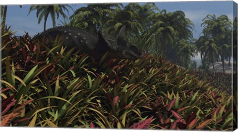 Framed Triceratops Grazing on Lush Foliage Print