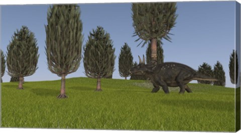 Framed Triceratops Walking across a Grassy Field 1 Print