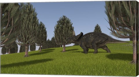 Framed Triceratops Walking across a Grassy Field 2 Print