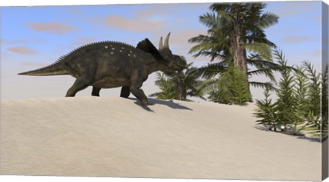 Framed Triceratops Walking along a Prehistoric Landscape Print