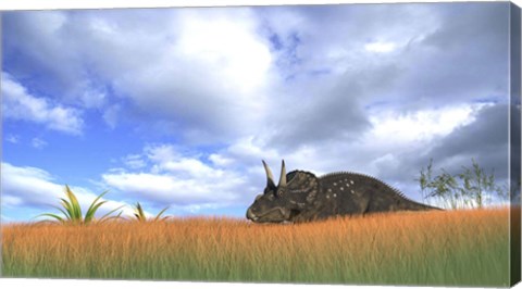 Framed Triceratops Walking through Tall Grass Print