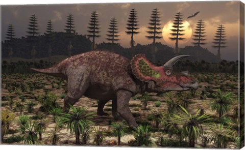 Framed Artist&#39;s concept of Triceratops Print