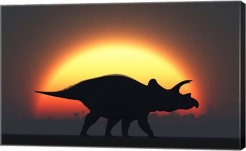 Framed Silhouetted Triceratops strolling Past a Setting Sun Print