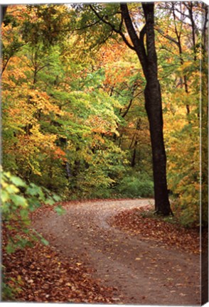 Framed Fall Road Print