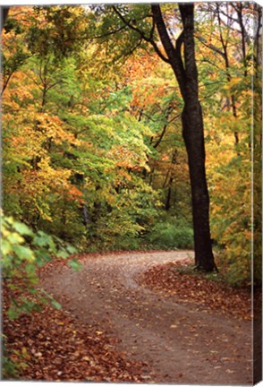 Framed Fall Road Print