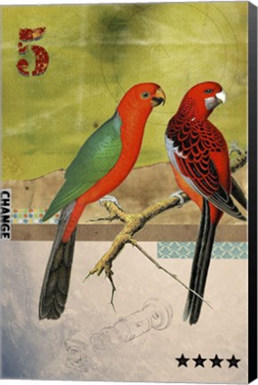 Framed Birds Print