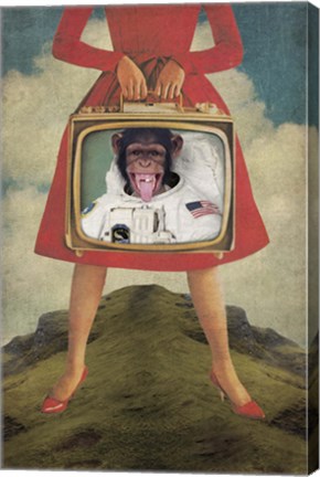 Framed Monkey See Monkey Do Print