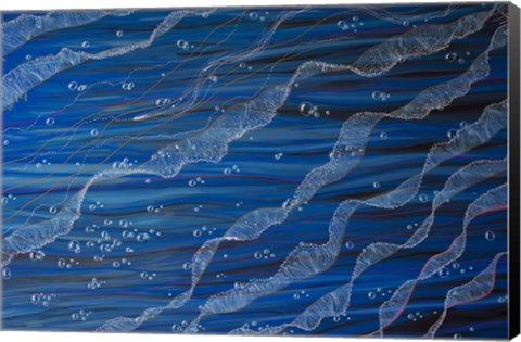 Framed Jelly Tentacles Print