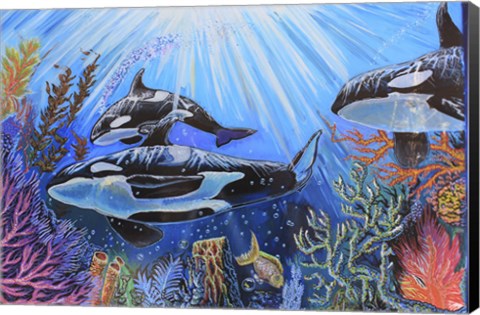 Framed Killer Whales Print