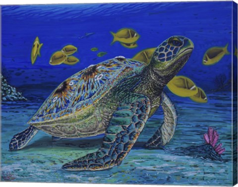 Framed Turtle Tale Print