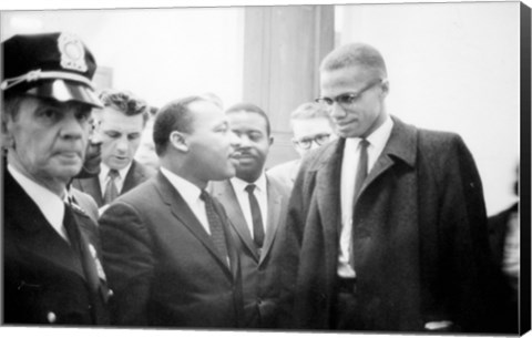 Framed Martin Luther King and Malcolm X Print