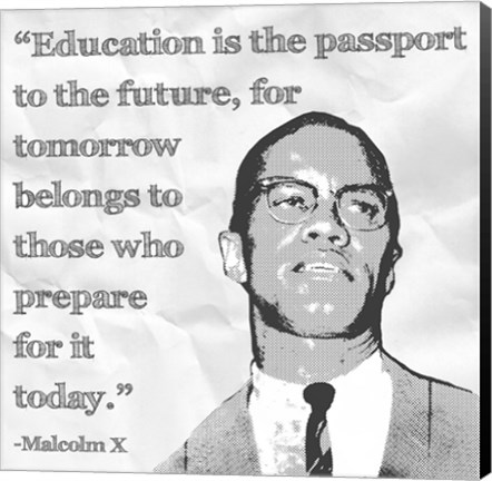 Framed Education is the Passport to the Future Print