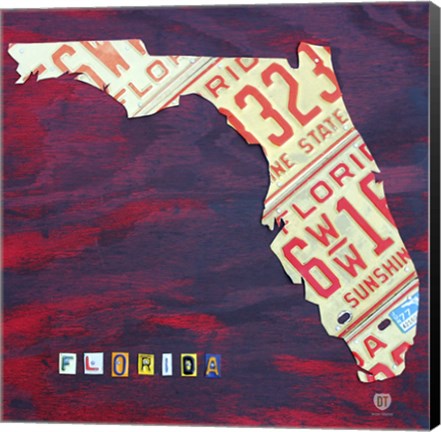 Framed Florida License Plate Print