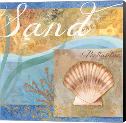 Framed Seashells III Print