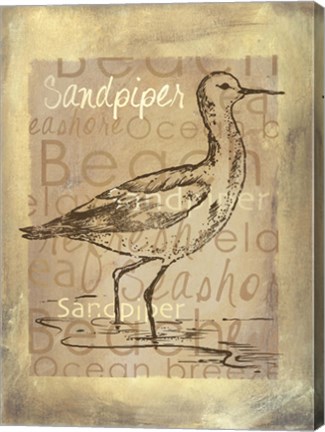Framed Shore Life II Print