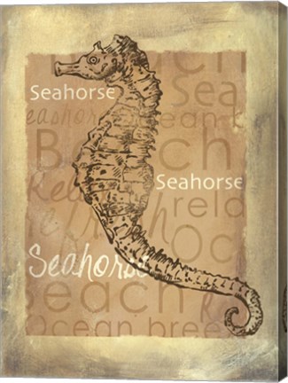 Framed Shore Life IV Print