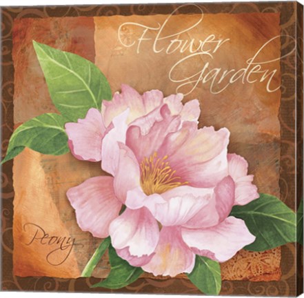Framed Peony Print