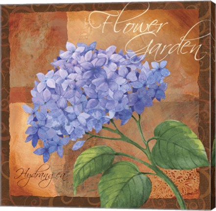 Framed Hydrangea Print