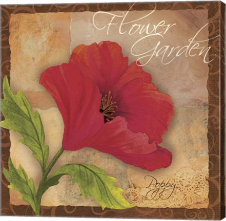 Framed Poppy Print