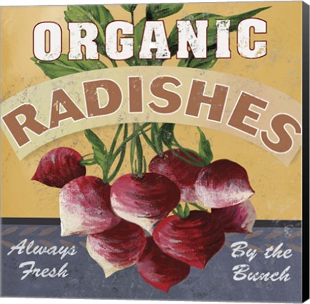 Framed Radishes Print