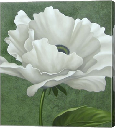Framed White Poppy Print