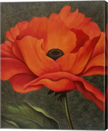 Framed Red Poppy Print