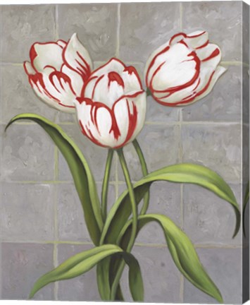 Framed Red-Striped Tulips Print